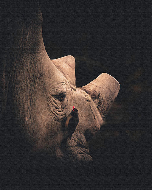 A Silent Understanding