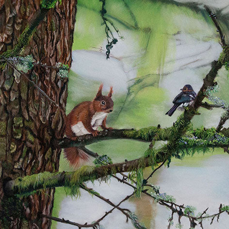 Forest Friends