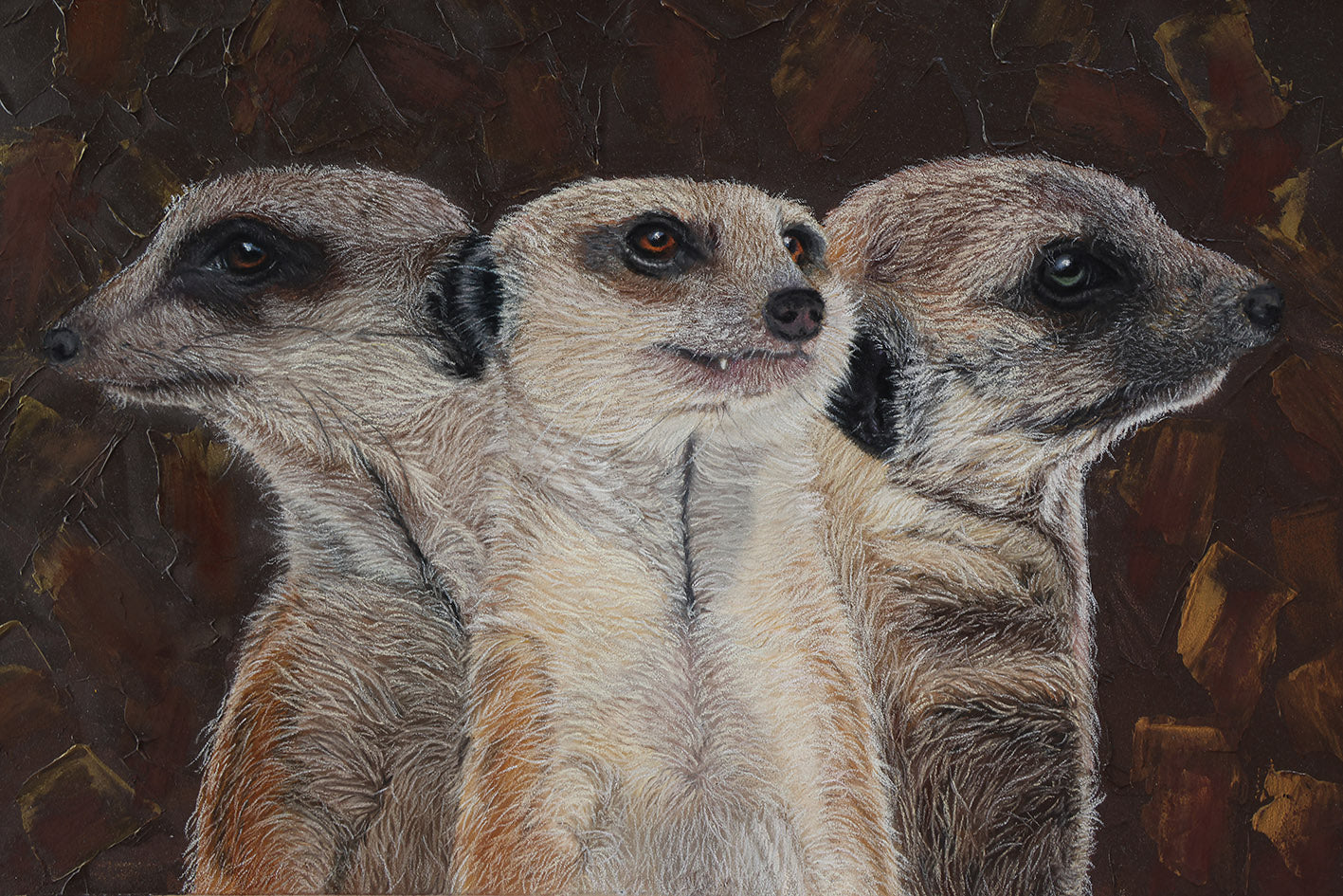 Meerkat Lookout