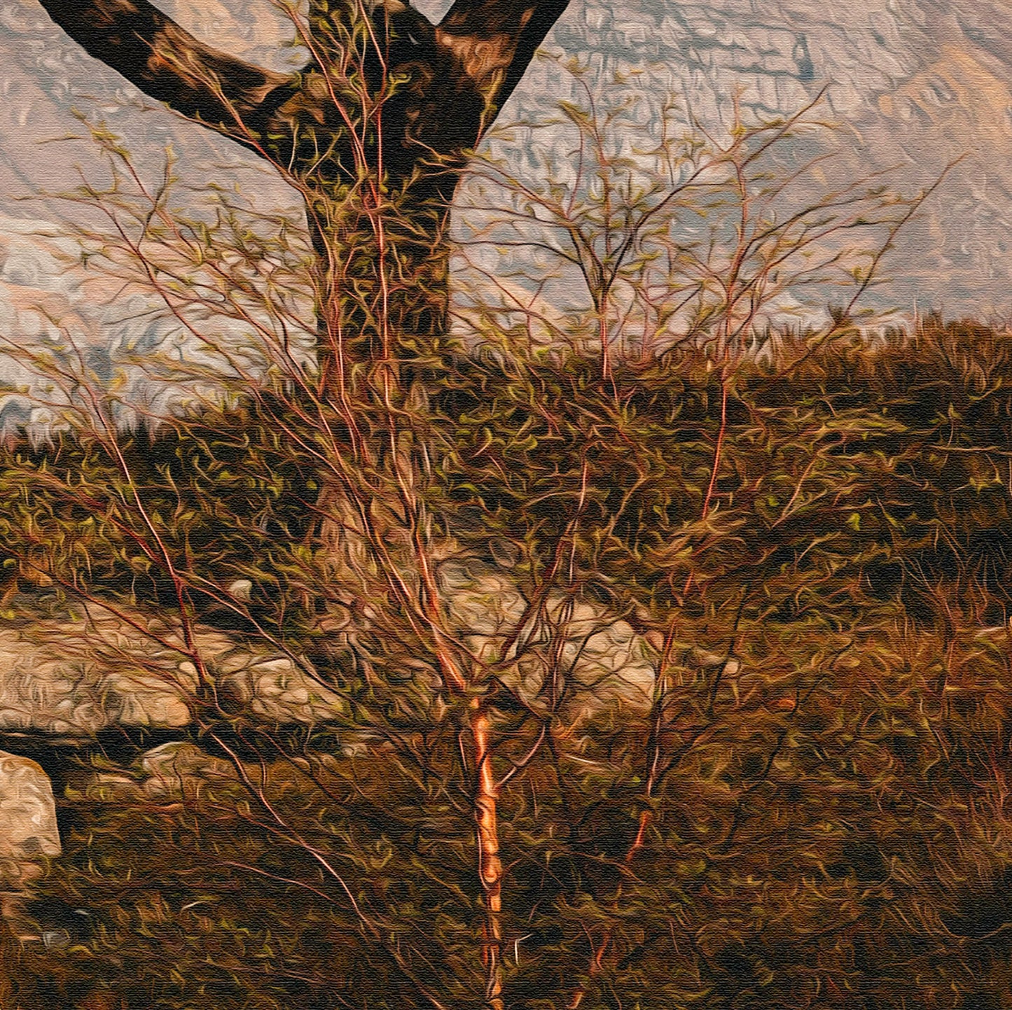 The Loch Maree Tree