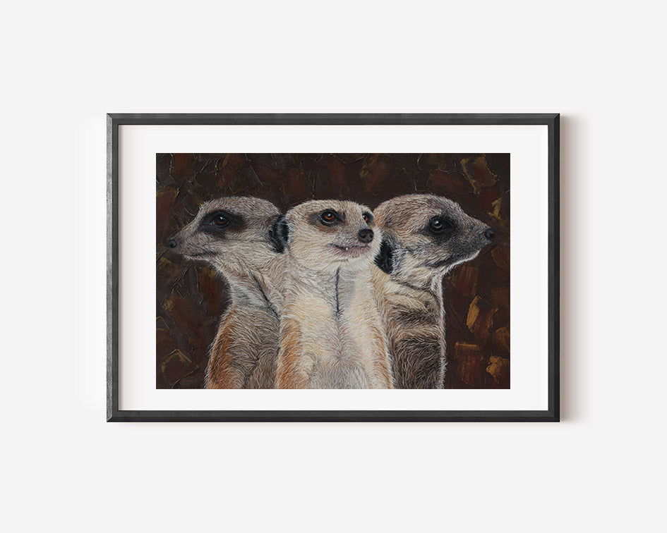 Meerkat Lookout