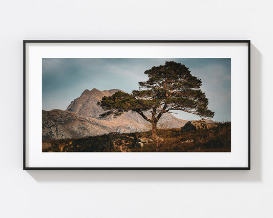 The Loch Maree Tree